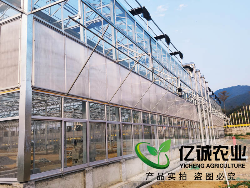 現代化智能玻璃溫室